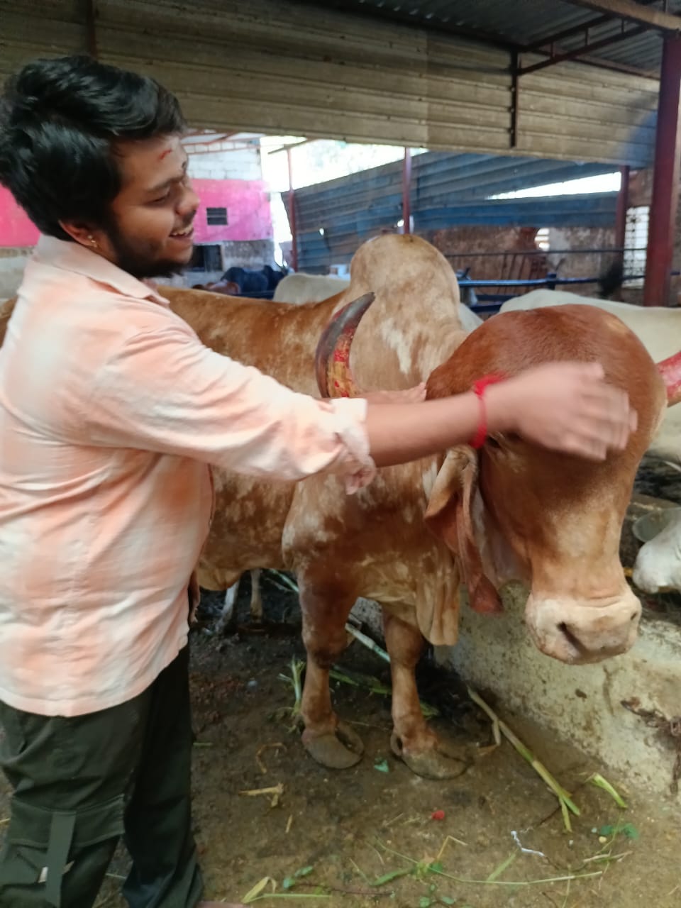 Goshaala