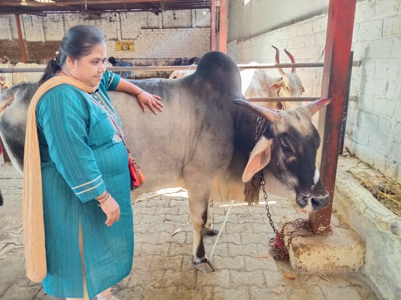 Goshaala