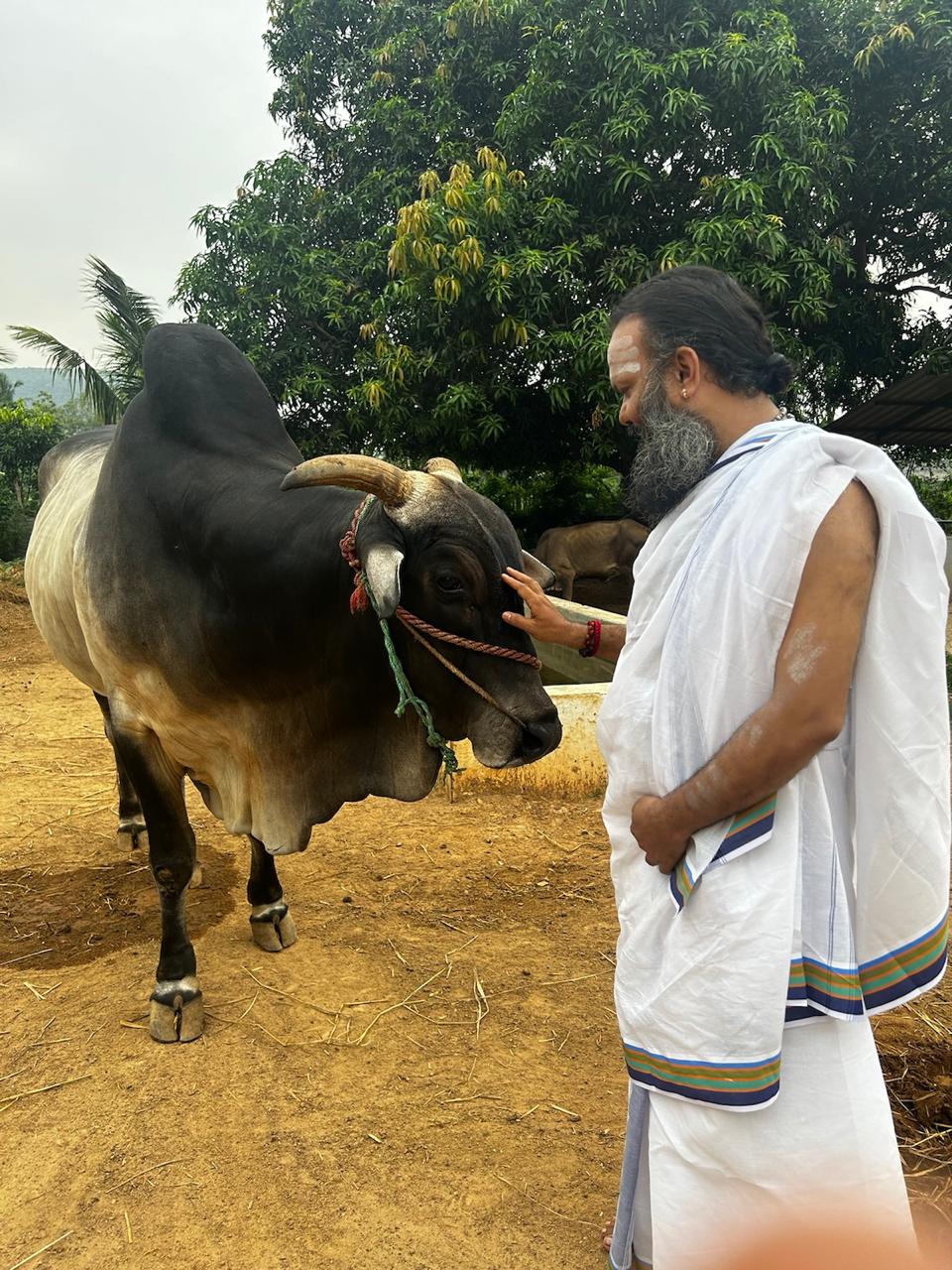 Goshaala