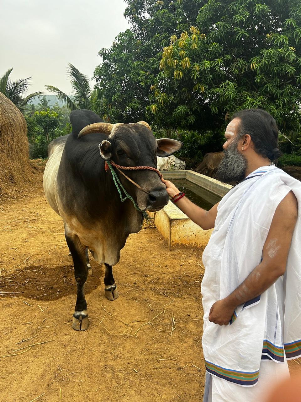 Goshaala