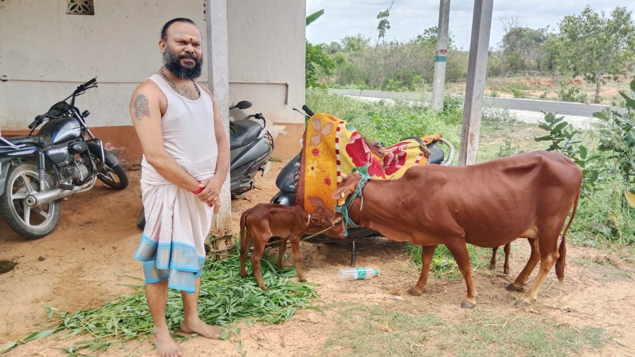 Goshaala